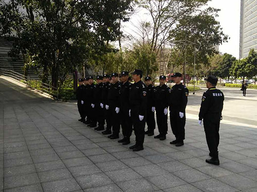 什么叫专业保安服务公司